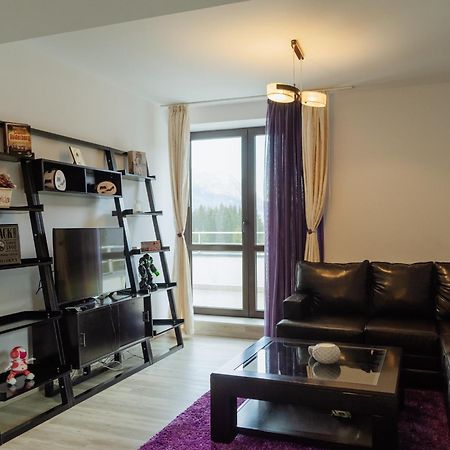 Panoramic Loft Colina Marei Apartment Sinaia Ngoại thất bức ảnh