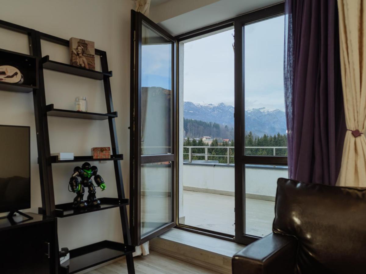 Panoramic Loft Colina Marei Apartment Sinaia Ngoại thất bức ảnh